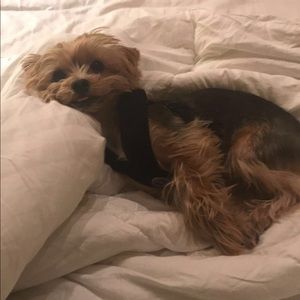 Meet your Posher, Grace